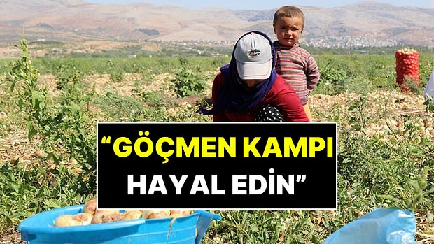 'Göçmen Kampı Gibi': Mevsimlik İşçi Çadırlarında Çocuk İşçiliği Gerçeği Ortaya Çıktı