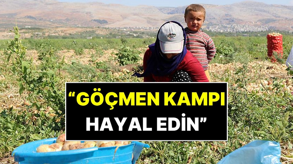 'Göçmen Kampı Gibi': Mevsimlik İşçi Çadırlarında Çocuk İşçiliği Gerçeği Ortaya Çıktı