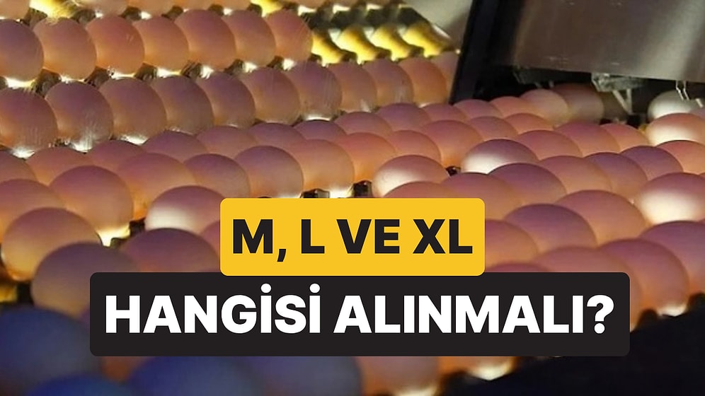 M, L ve XL Yumurta Arasındaki Fark Belli Oldu: Market Rafında Dikkat Edilmesi Gereken Ayrıntı