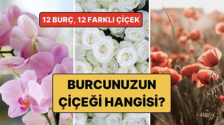 Burcunuza Göre Sizi Yansıtan Çiçek Hangisi? 12 Burcun Çiçeği