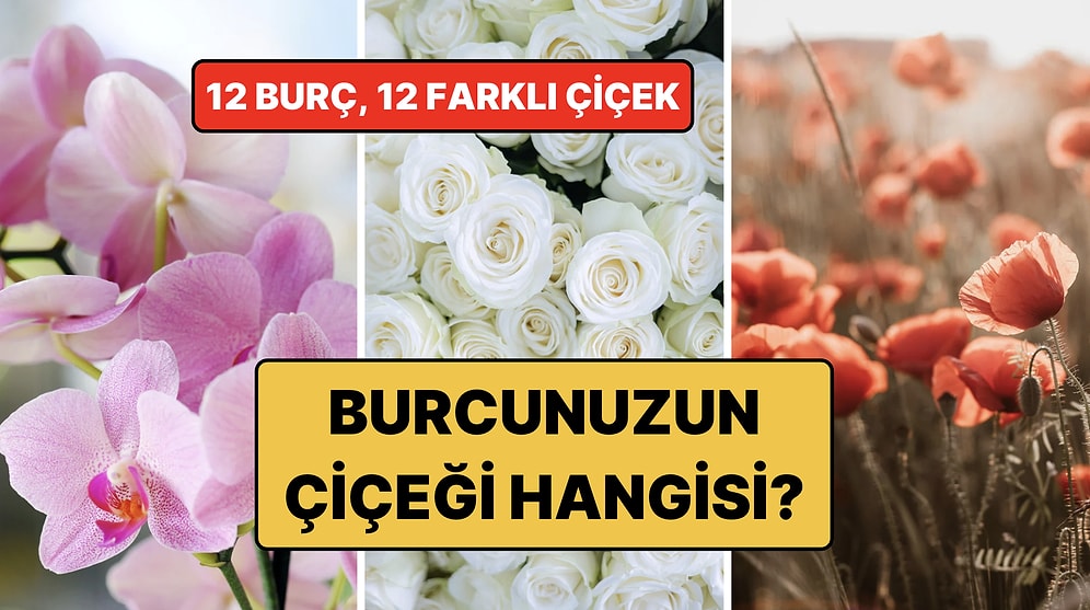 Burcunuza Göre Sizi Yansıtan Çiçek Hangisi? 12 Burcun Çiçeği