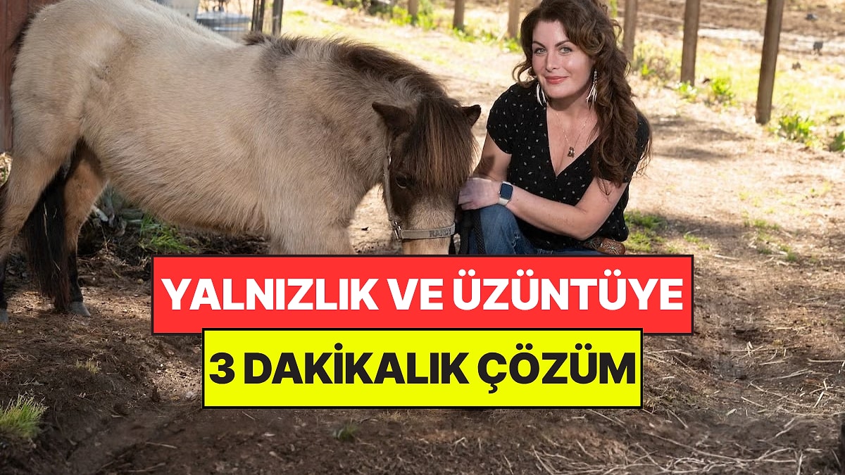 Yalnızlık ve Üzüntüye 3 Dakikalık Çözüm: Bu 2 Hayvanla Vakit Geçirmek Her Şeyi Değiştiriyor