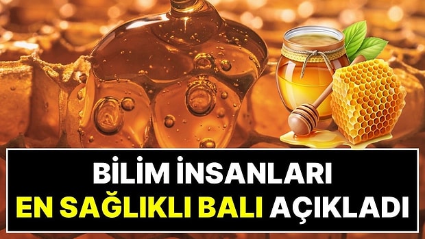 En Sağlıklı Bal Hangisi? Ne Anzer Balı Ne de Çam Balı: Bilim İnsanları Manuka Balının Gücünü Kanıtladı