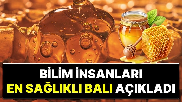 En Sağlıklı Bal Hangisi? Ne Anzer Balı Ne de Çam Balı: Bilim İnsanları Manuka Balının Gücünü Kanıtladı