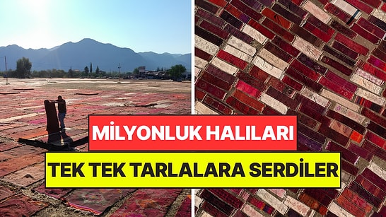 Milyonlarca Liralık Halıları Tarlalara Serdiler: Güneşin Altında Renk Değiştiriyorlar