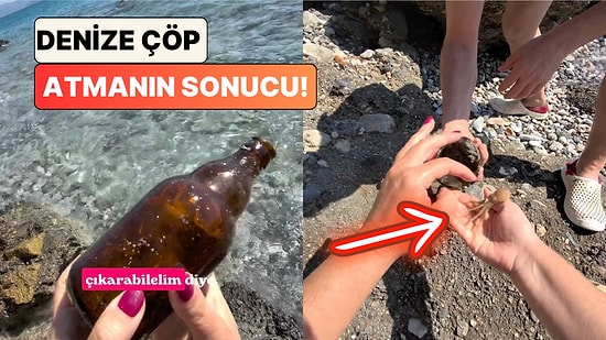 Bir Sosyal Medya Kullanıcısı Denize Atılan Bira Şişesinin İçindeki Yavru Ahtapotu Özgürlüğüne Kavuşturdu