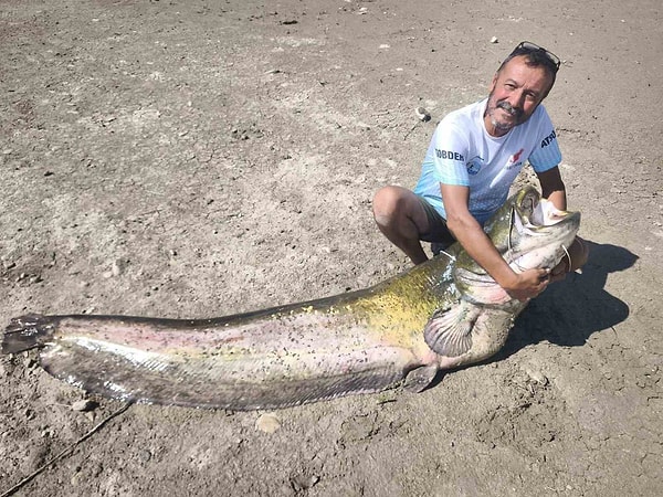 İki Günlük Bekleyişin Ardından Oltaya Takıldı