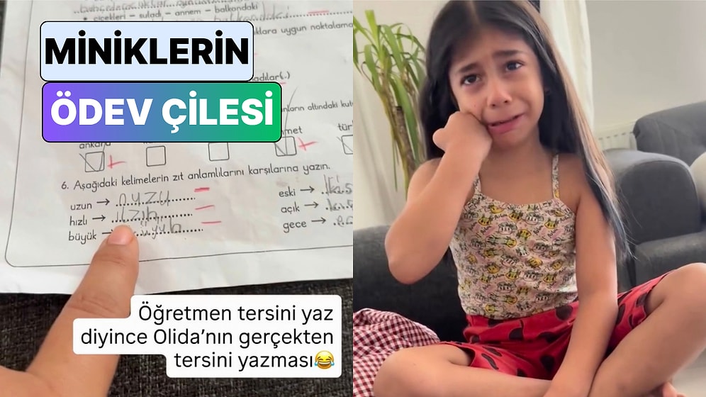 Öğretmenin 'Tersini Yazın' İsteğini Tam Olarak Söylendiği Gibi Anlayan Miniğin Harika Ödevi