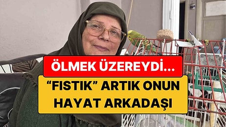 Ölmek Üzereyken Sahiplendi, "Fıstık" Hayat Arkadaşı Oldu