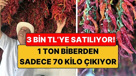 Yılda 2 Kez Toplanıyor: Bu Biberin Kilosu 3 Bin TL'ye Çıkıyor