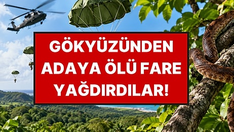 2 Bin Ölü Fareyi Helikopterlerle Adaya Bıraktılar: Adayı Kurtarmak İçin Sıra Dışı Yöntem