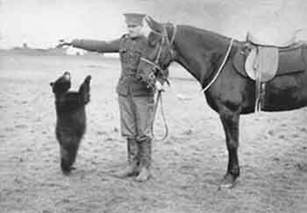 3. Winnie the Pooh, adını Londra Hayvanat Bahçesi'nde yaşayan gerçek bir ayıdan aldı.