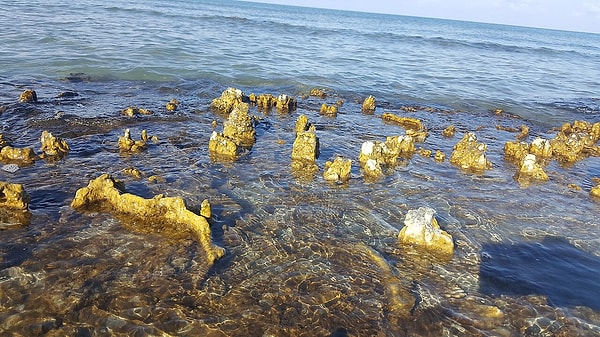 Van Gölü'ndeki mikrobiyalitler 40 metreye ulaşarak dünyanın en büyükleri arasına giriyor