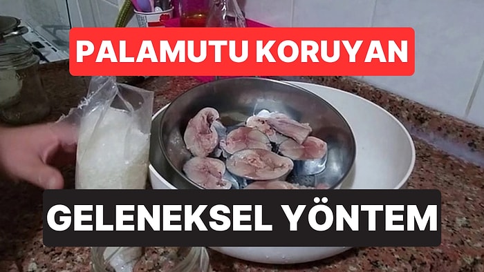 Karadeniz Mutfağının Köklü Sırrı: Palamutu Kara Kışta Bile Koruyan Yöntem