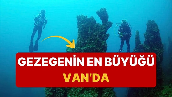 Dünya Van Gölü'nü Araştıracak: 40 Metrelik Dev Yapıların Sırrı Çözülüyor!