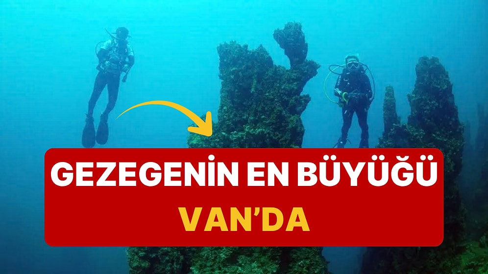Dünya Van Gölü'nü Araştıracak: 40 Metrelik Dev Yapıların Sırrı Çözülüyor!