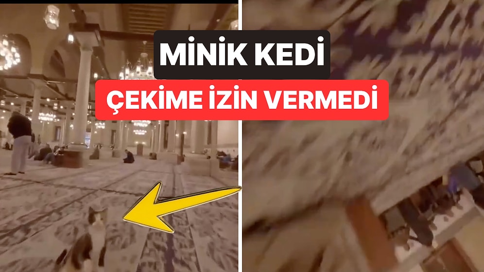 Cami Kedisi Drone'a Geçit Vermedi: Havadaki Kameranın Üzerine Atladığı Anlar Viral Oldu