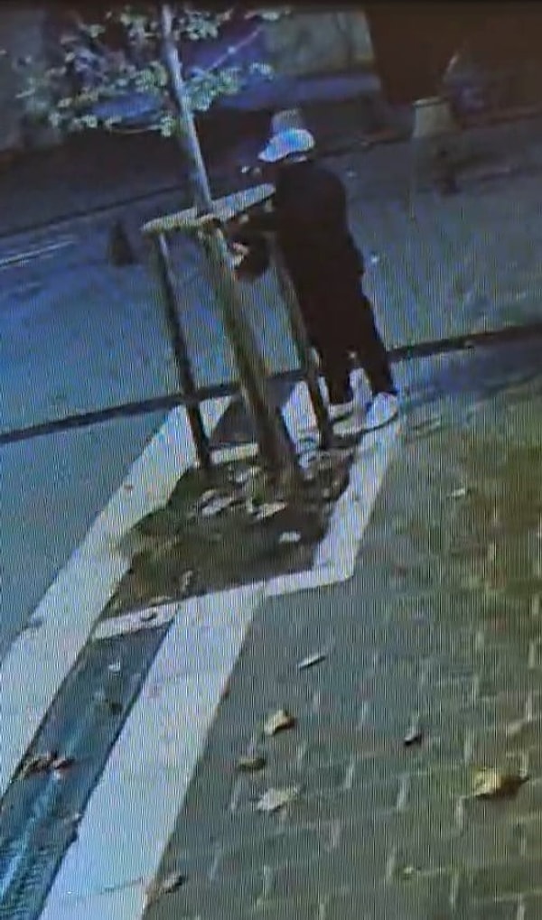 Nuruosmaniye Caddesi'ndeki gümüşi ıhlamur 11 Eylül gecesi testereyle kesildi