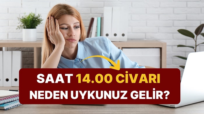 Makarnayla İlgisi Yok: Öğleden Sonra Neden Uykumuz Geliyor?