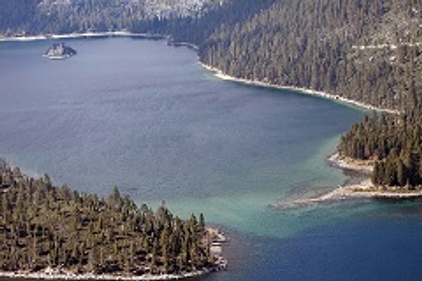 Despite the cleanup project carried out in another part of the lake, the mussels have not completely disappeared.