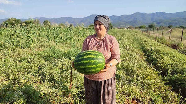 Yüzyıllardır aktarılan ata tohumları titiz bir bakım süreciyle toprağa hayat veriyor