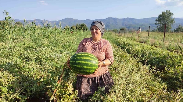 Geleneksel tarımın korunması yerel ekonomiye ve kültürel mirasa katkı sunuyor