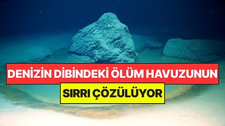 Denizde Bulunan Ölüm Havuzunun Sırrı Çözülüyor: İçine Giren Anında Can Veriyor
