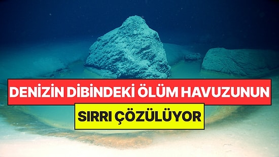 Denizde Bulunan Ölüm Havuzunun Sırrı Çözülüyor: İçine Giren Anında Can Veriyor