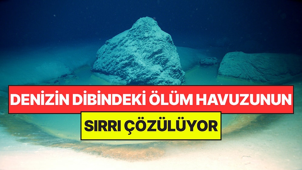 Denizde Bulunan Ölüm Havuzunun Sırrı Çözülüyor: İçine Giren Anında Can Veriyor