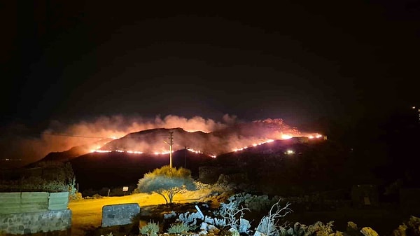 Yangın otluk bir alanda başladı, rüzgar alevleri kısa sürede yamaç boyunca taşıdı.