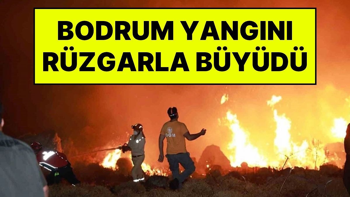Bodrum'da Rüzgar Alevleri Büyüttü: Akyarlar İle İslamhaneleri Arasındaki Yangın Kontrol Altına Alındı