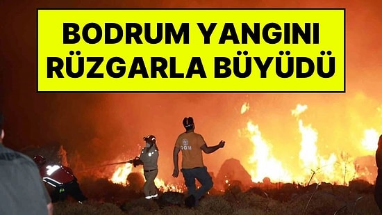 Bodrum'da Rüzgar Alevleri Büyüttü: Akyarlar İle İslamhaneleri Arasındaki Yangın Kontrol Altına Alındı