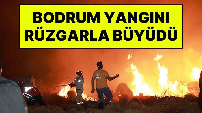 Bodrum'da Rüzgar Alevleri Büyüttü: Akyarlar İle İslamhaneleri Arasındaki Yangın Kontrol Altına Alındı