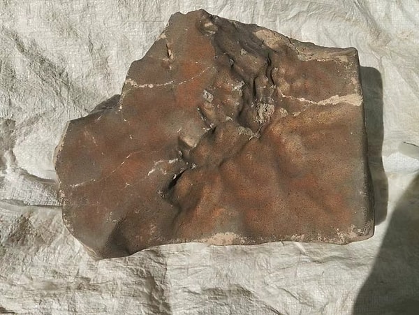 Yasadışı İhracat Şüphesi Afrika’da Resmi Soruşturma Başlattı