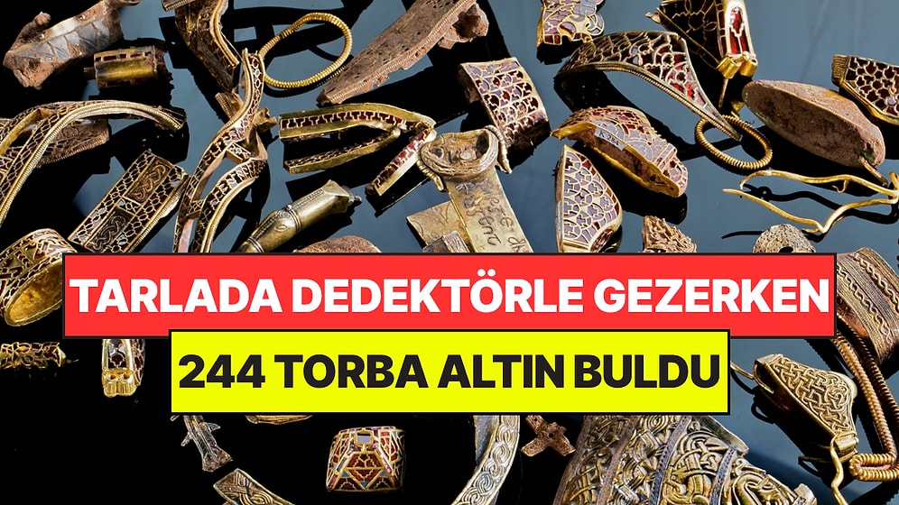 Tarlada 244 Torba Altın Buldu: Müzeler Milyonluk Hazineyi Satın Almak İçin Yarıştı
