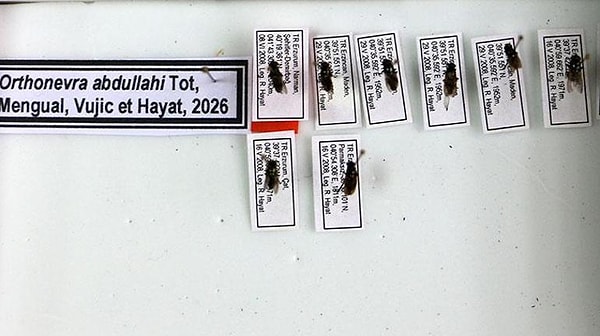 Türkiye’nin Zengin Biyoçeşitliliği Yerli İsimlerle Dünya Literatürüne Kazandırılıyor