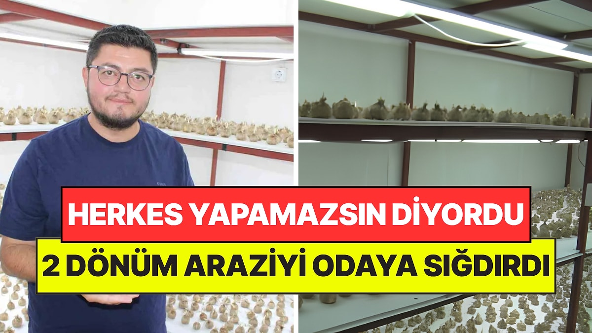 Yetişmez Diyenlere İnat Yetiştirdi: 2 Dönüm Araziyi Tek Bir Odaya Sığdırdı