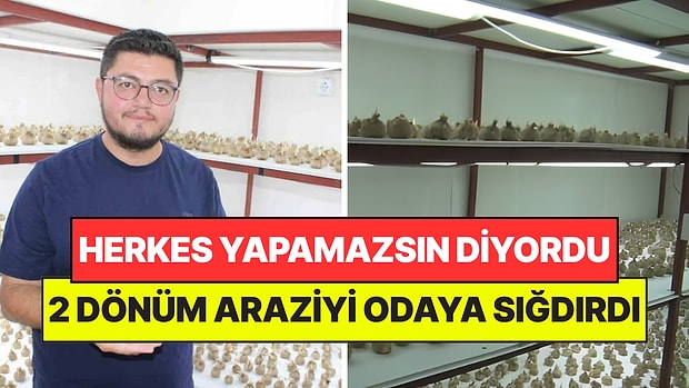 Yetişmez Diyenlere İnat Yetiştirdi: 2 Dönüm Araziyi Tek Bir Odaya Sığdırdı