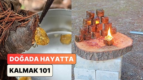 Kamp Videoları ile Bilinen İçerik Üreticisi Çam Reçinesi ile Doğal Çıra Yapımını Paylaştı