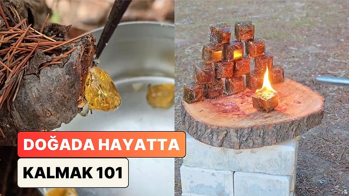 Kamp Videoları ile Bilinen İçerik Üreticisi Çam Reçinesi ile Doğal Çıra Yapımını Paylaştı
