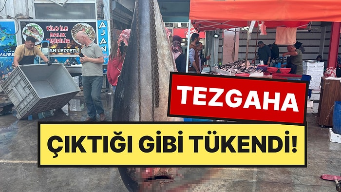 Hamsi Ağlarından Çıkan Dev, İlçede Olay Oldu: Kilosu 350 TL’den Satıldı