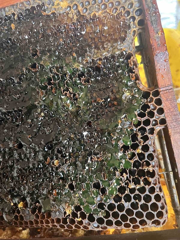 Odunsu ve keskin bir tadı var, kavanozda rengi değişebiliyor