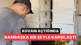 11 Yıllık Arıcı Kovanı Açınca Gözlerine İnanamadı: Dünyada 10-15 Yılda Bir Görülüyor