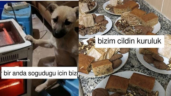 Havaların Aniden Soğumasına İki Çift Lafı Olan Mizahşörler