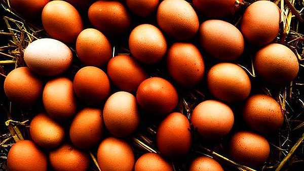 2. Is Every Food Containing Cholesterol a Foe to the Heart?