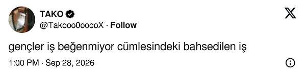 "Gençler iş beğenmiyor" cümlesindeki işin bu olduğu anlaşıldı