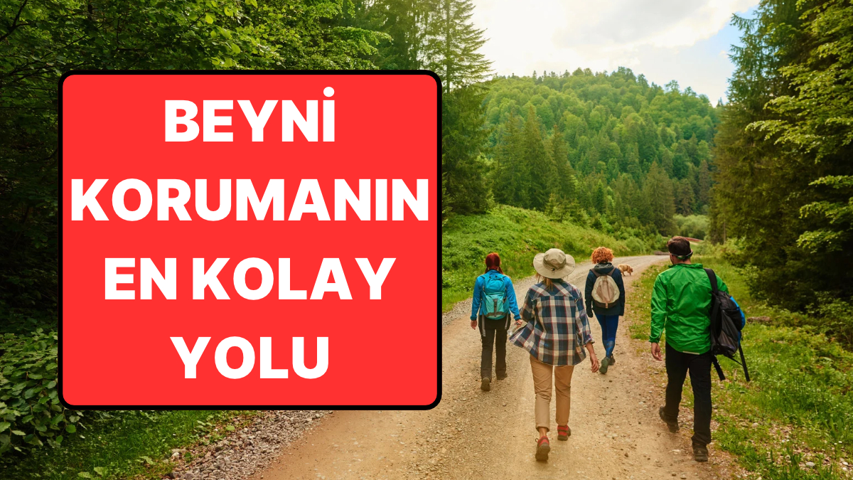 Nörolog 30 Yıldır Her Pazar Yapıyor: Beyni Korumanın En Kolay Yolu Bu Alışkanlık