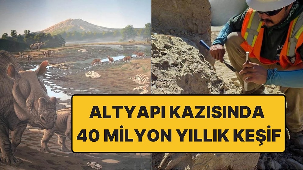 İnşaat Alanında 40 Milyon Yıllık Sürpriz: Kemikler 'Gök Gürültüsü Canavarı'na Ait Olabilir