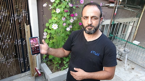 Kümesteki Şebap güvercinlerinin değeri kuş başına 15 bin liradan 200 bin liraya kadar çıkıyor
