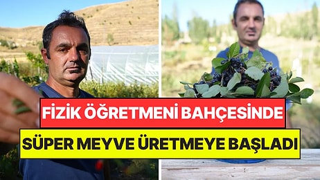 Markette Tadına Bakıp Bahçesine Ekti: Fizik Öğretmeni 3 Yılda Herkesi Hayrete Düşürdü